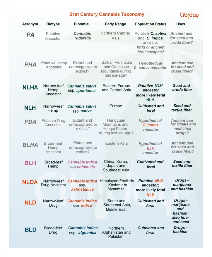 Cannabis Taxonomie 21ste Eeuw